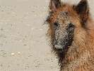 Dagje strand....